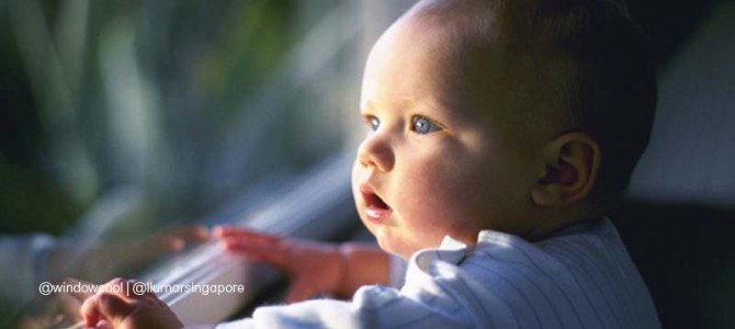 Keep Your Baby and Loved Ones Safe with Window Films